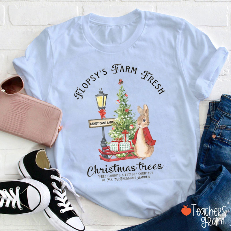 Christmas Apparel Rabbit Teacher T-Shirt