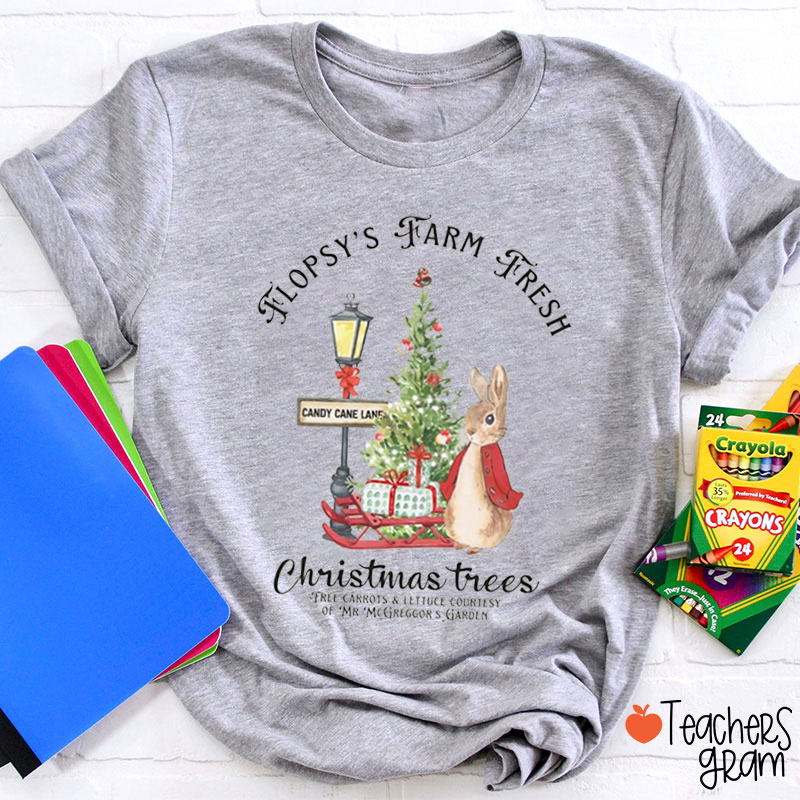 Christmas Apparel Rabbit Teacher T-Shirt