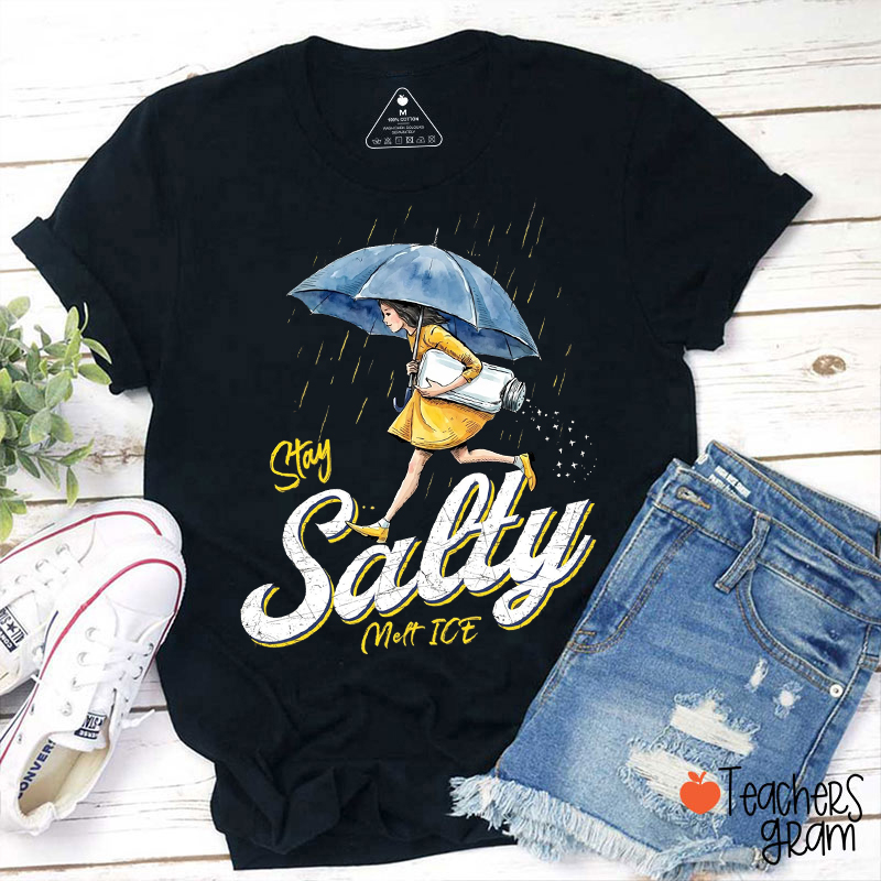 Stay Salty Melt ICE Human Rights Teacher T-Shirt