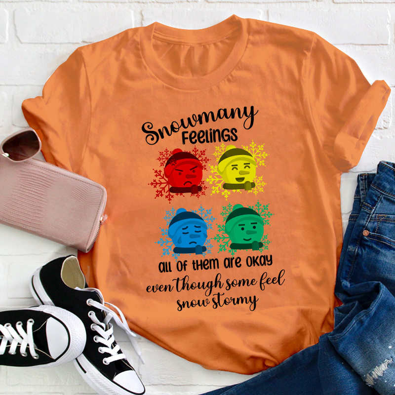 Snowmany Feelings All Of Them Are Okay Teacher T-Shirt