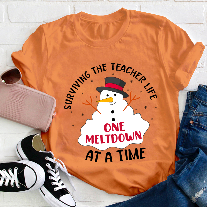 Surviving The Teacher At A Time Teacher T-Shirt