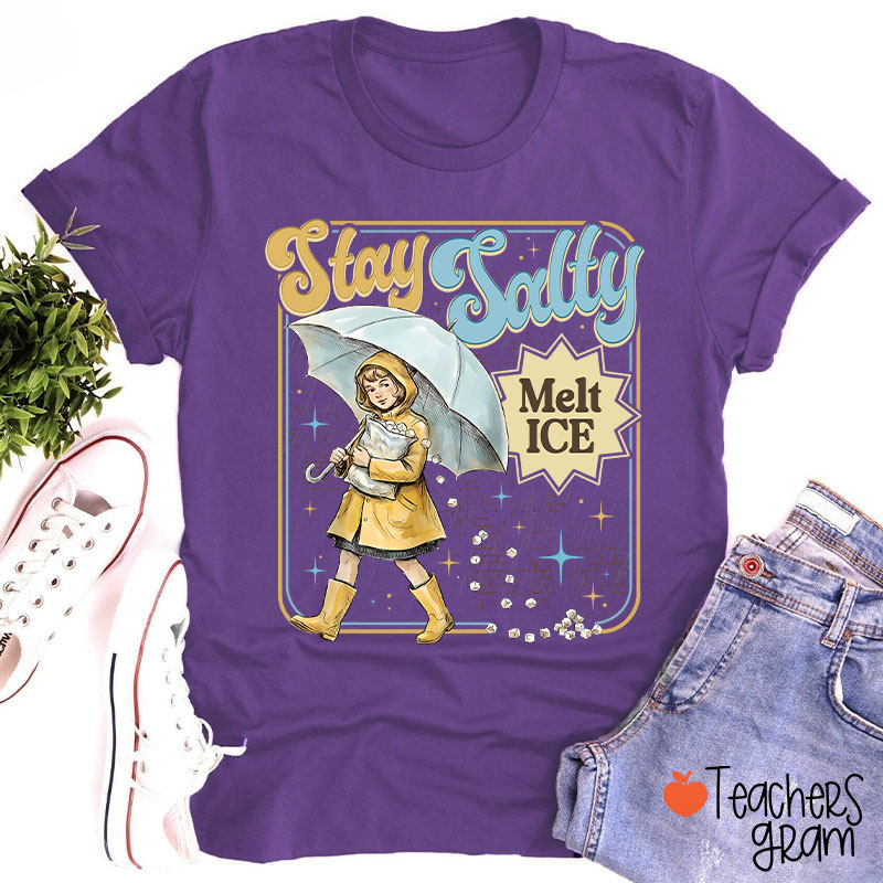 Stay Salty Melt Ice Subtle Anti Ice Teacher T-Shirt