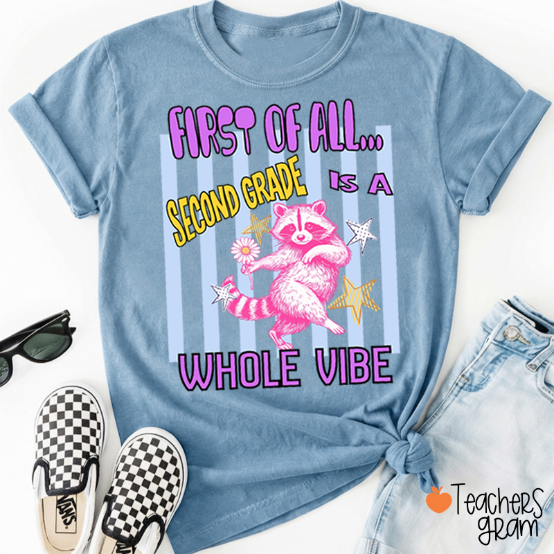 Personalized Grade Pink Raccoon Whole Vibe Teacher T-Shirt