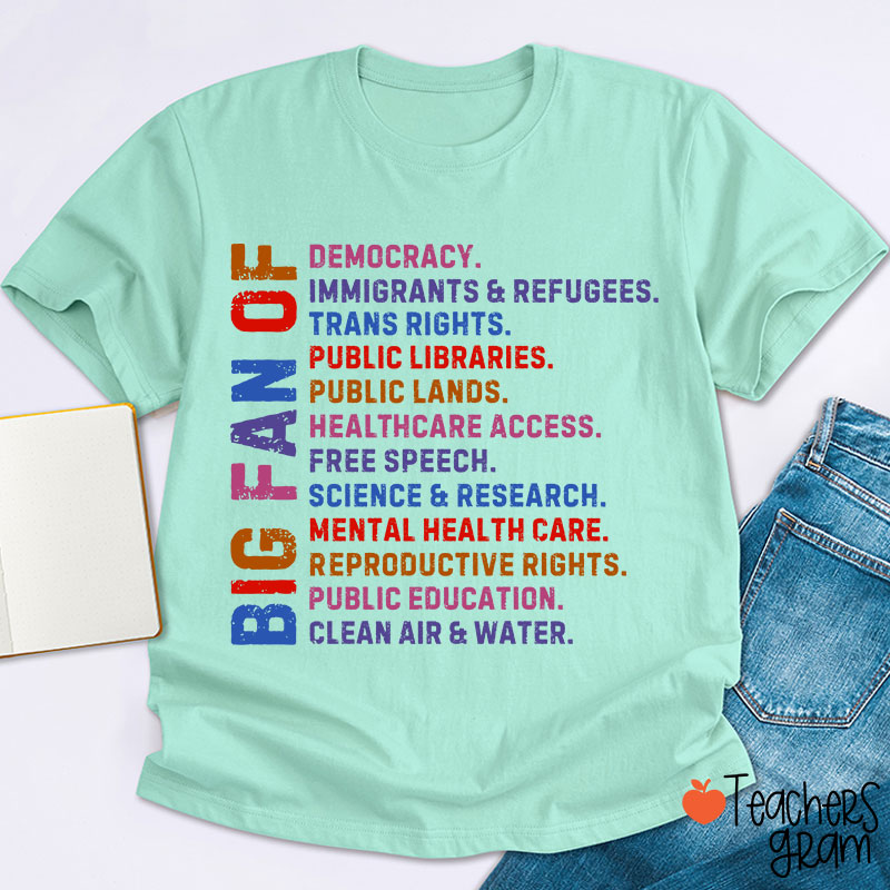 Big Fan Of Human Rights Democracy Teacher T-Shirt