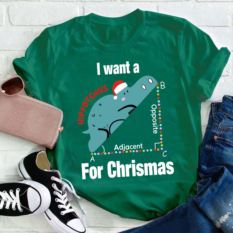 I Want A Hippotenus For Christmas Teacher T-Shirt
