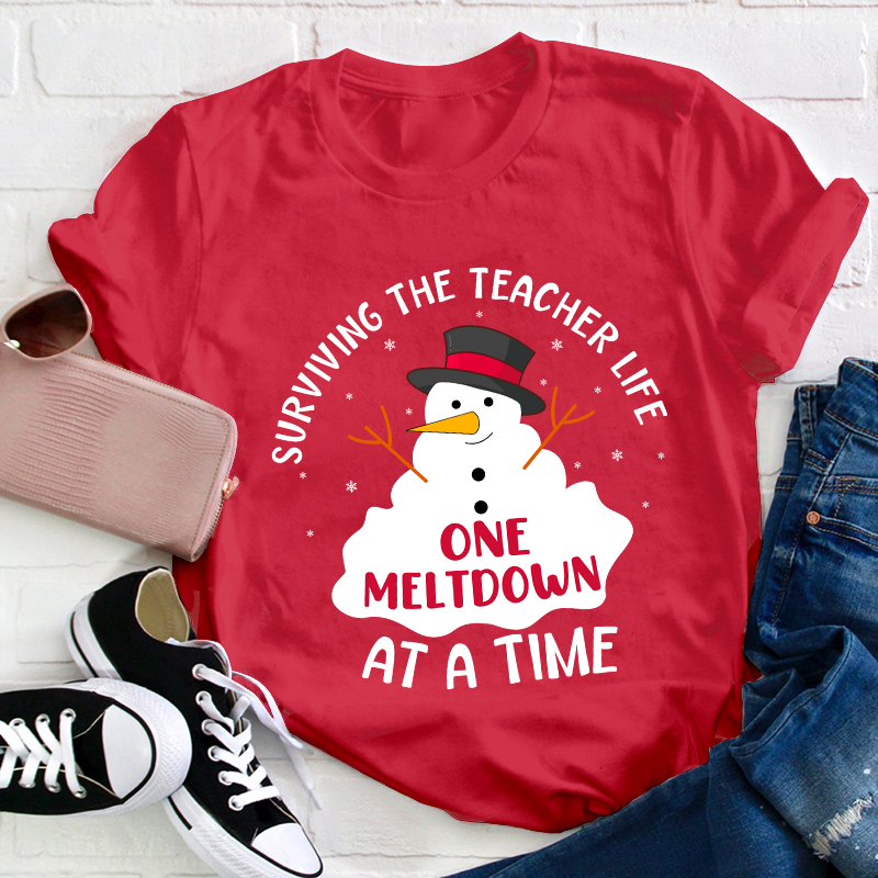 Surviving The Teacher At A Time Teacher T-Shirt