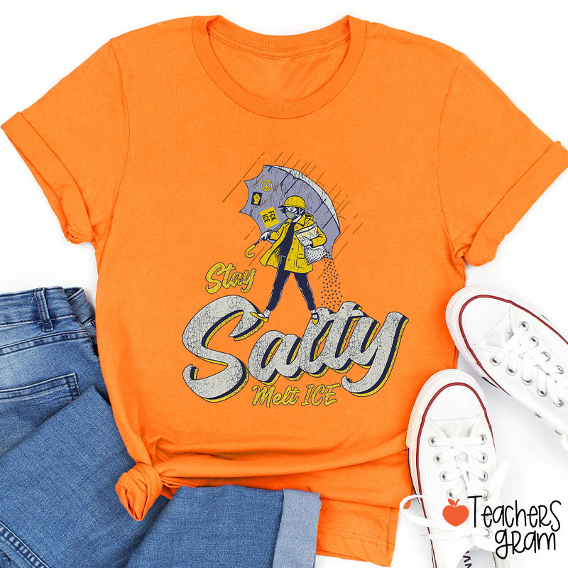 Stay Salty Melt Ice Social Justice Teacher T-Shirt