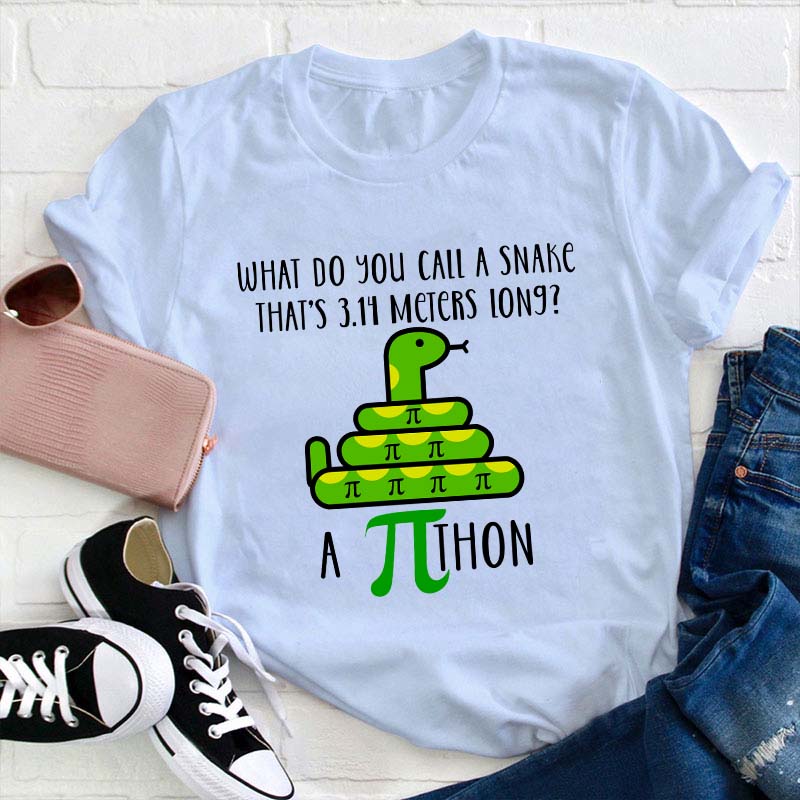 What Do You Call A Snake Teacher T-Shirt