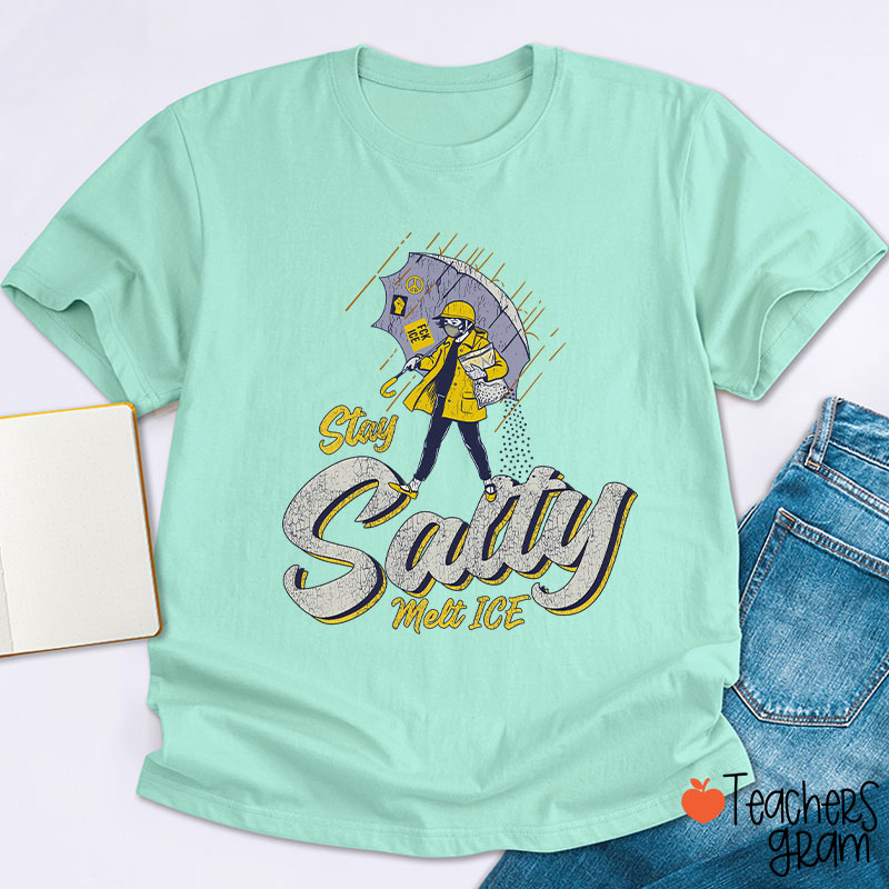 Stay Salty Melt Ice Social Justice Teacher T-Shirt