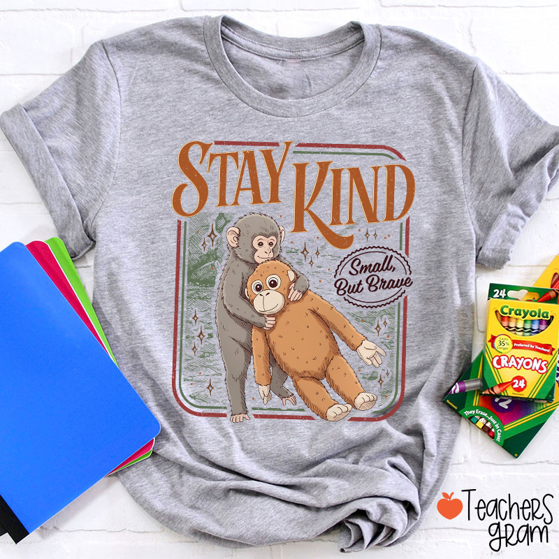 Stay Kind Small But Brave Teacher T-Shirt