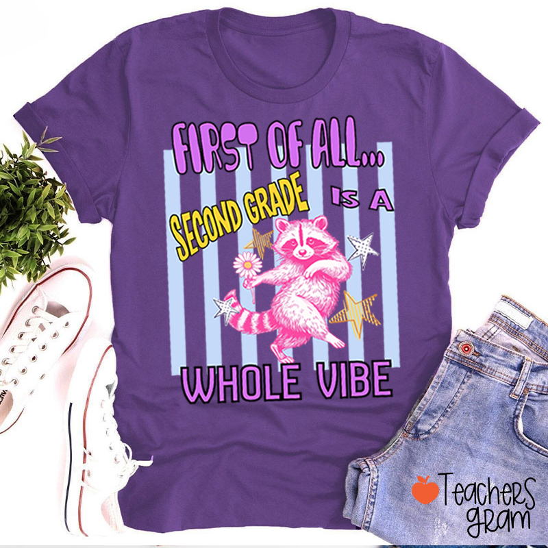Personalized Grade Pink Raccoon Whole Vibe Teacher T-Shirt