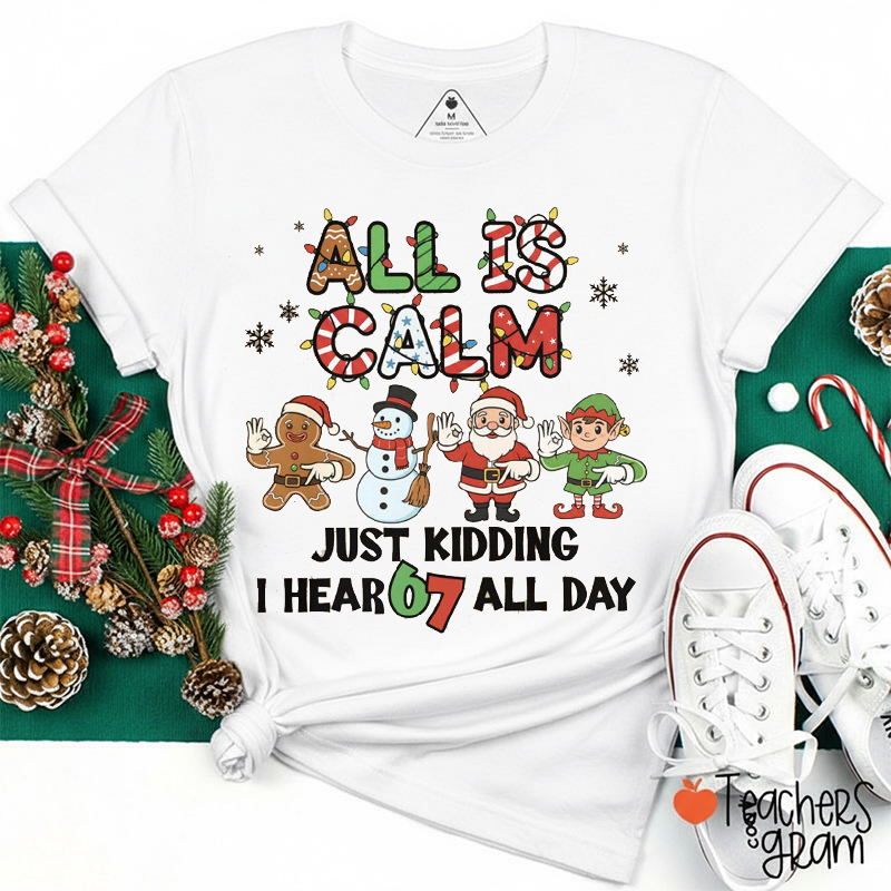 All Is Calm Just Kidding I Hear 67 All Day Teacher T-Shirt