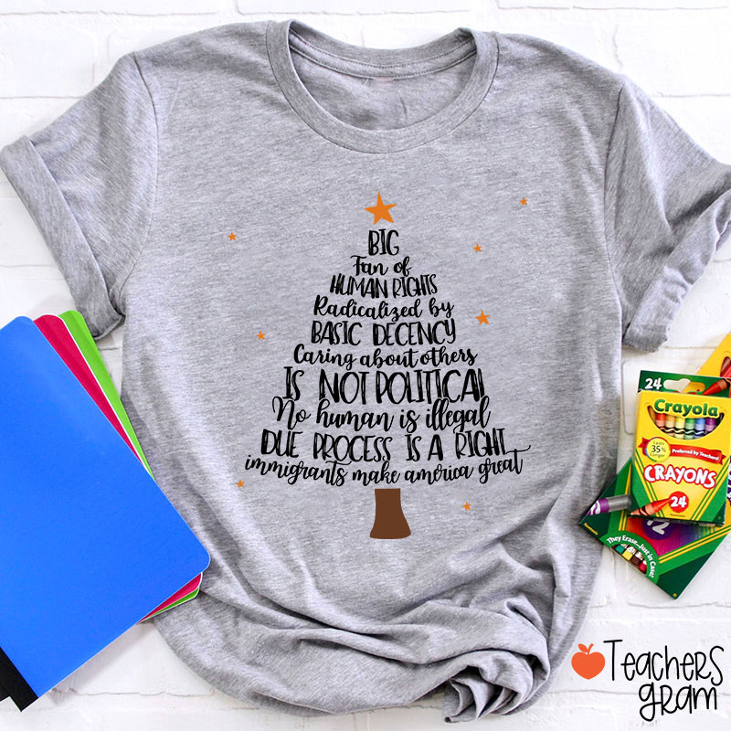 Big Fan Of Human Rights Christmas Tree Teacher T-Shirt