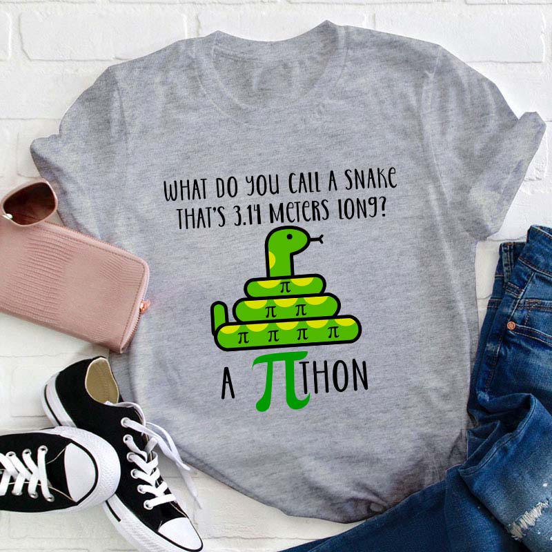 What Do You Call A Snake Teacher T-Shirt