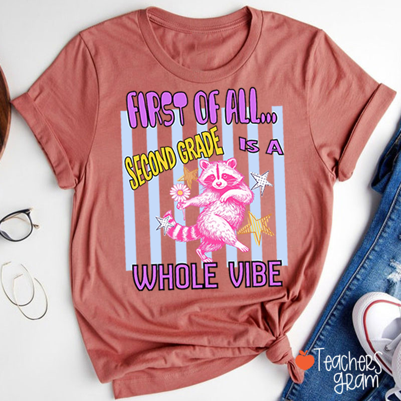 Personalized Grade Pink Raccoon Whole Vibe Teacher T-Shirt