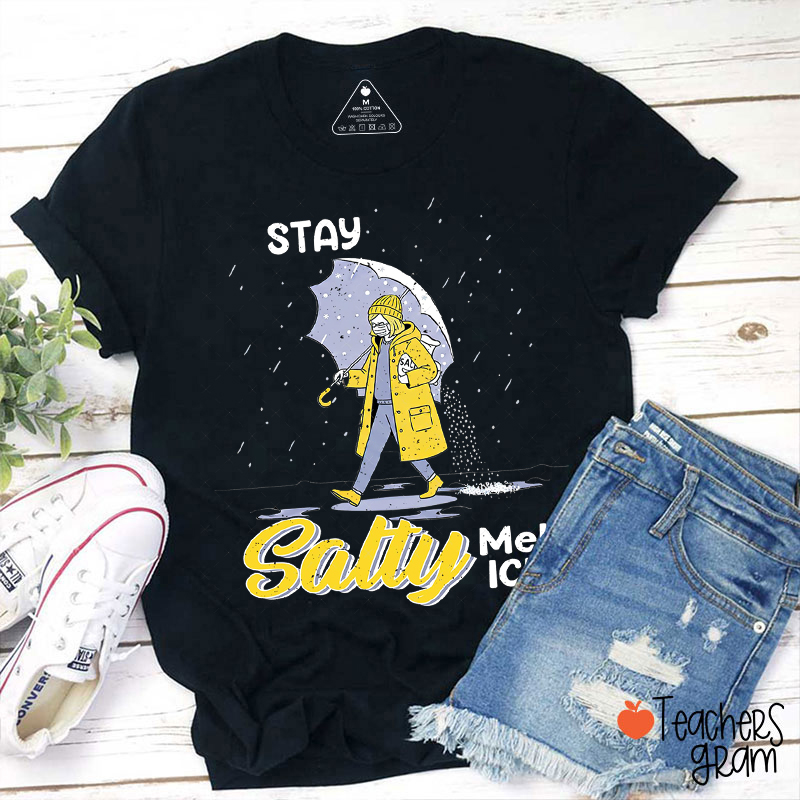 Stay Salty Melt Ice Teacher T-Shirt