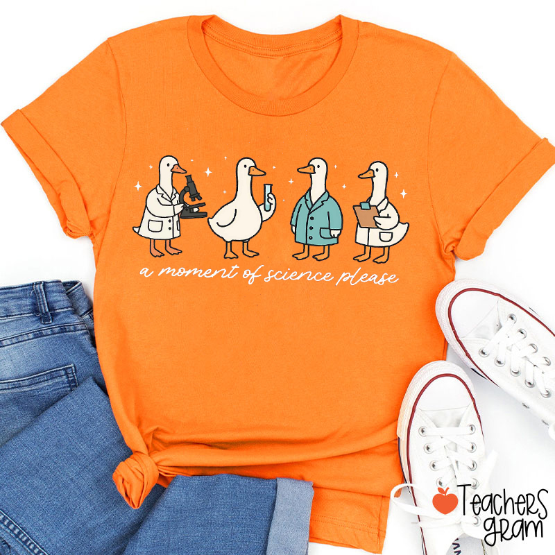 A Moment Of Science Please Teacher T-Shirt