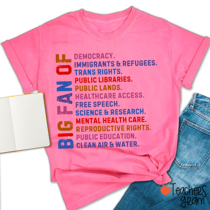 Big Fan Of Human Rights Democracy Teacher T-Shirt