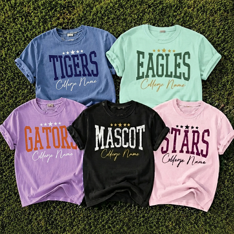 Personalized Mascot And School Name Star Distressed Graphic Teacher T‑Shirt