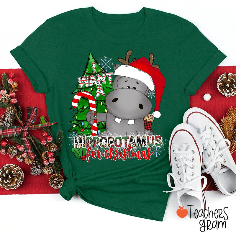I Want A Hippopotamus For Christmas Teacher T-Shirt