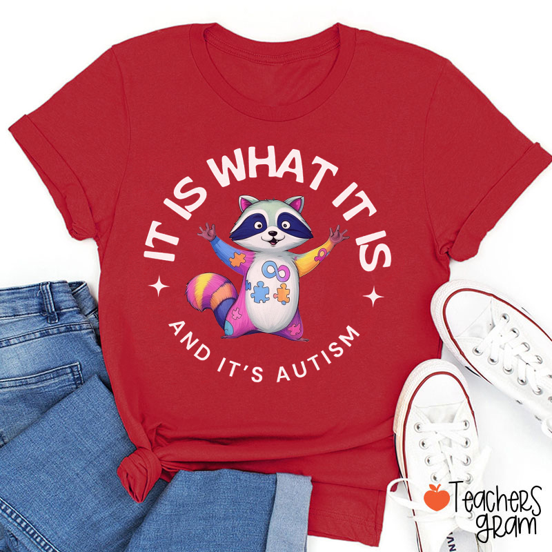 It Is What It Is And It's Autism Teacher T-Shirt