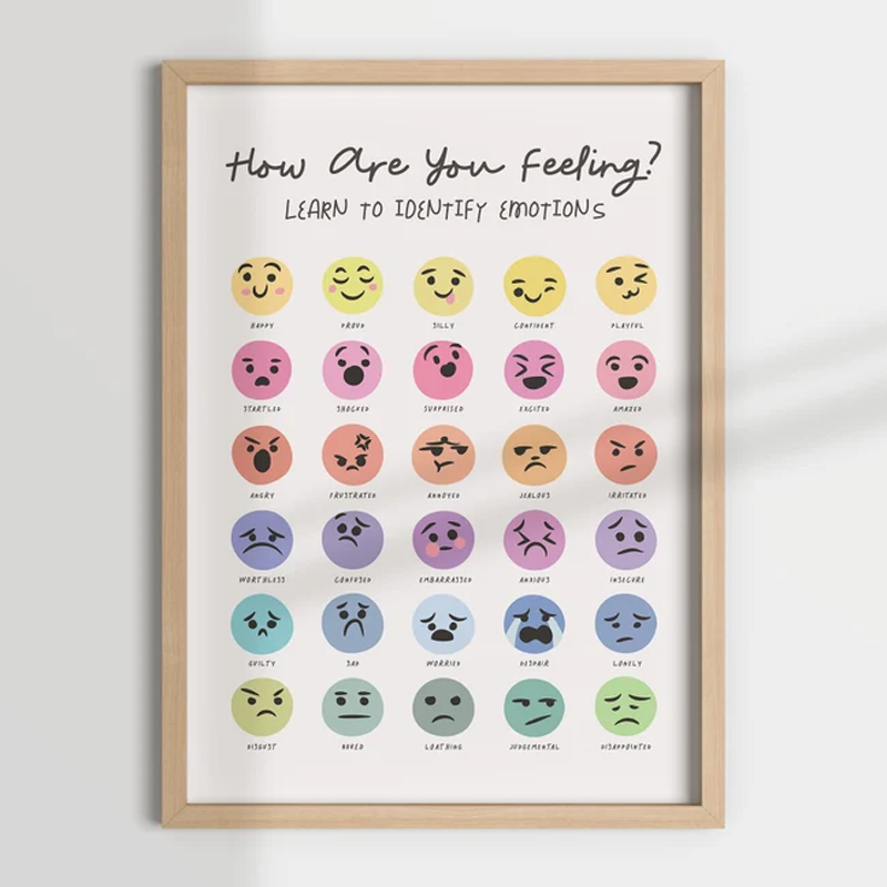 Learn To Recognize The Feeling Of Emotions Teacher Wall Art