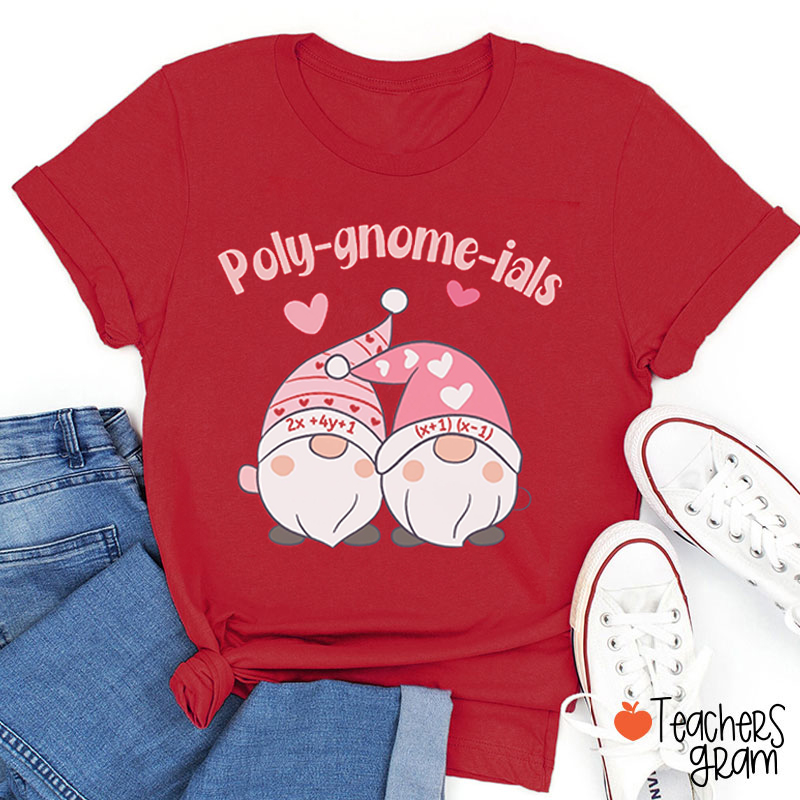Poly Gnome Ials Math Teacher T-Shirt