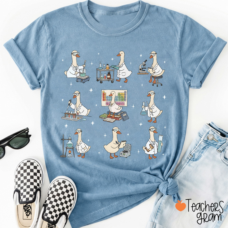 Silly Goose Chemistry Teacher T-Shirt