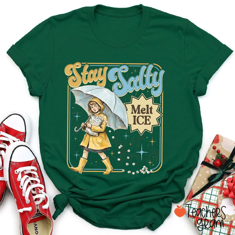 Stay Salty Melt Ice Subtle Anti Ice Teacher T-Shirt