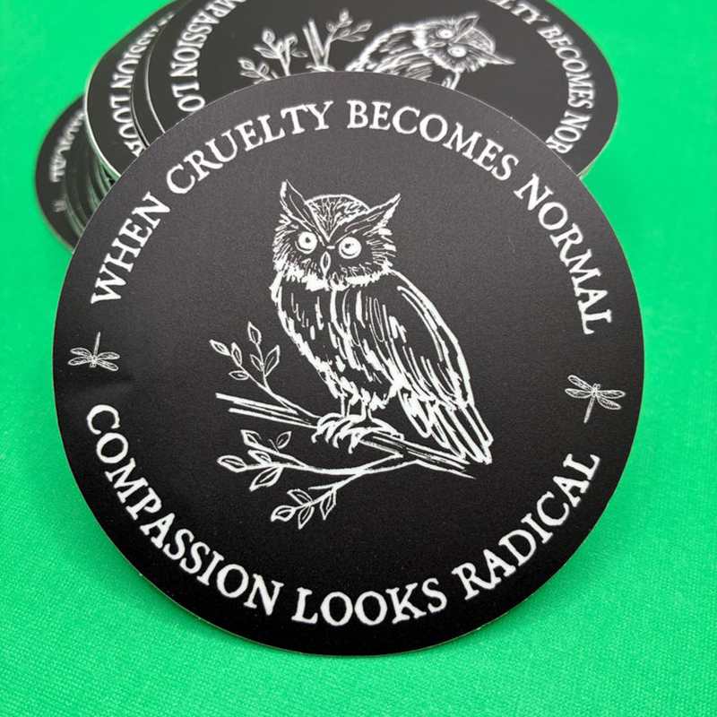 When Cruelty Becomes Normal Owl Teacher Stickers
