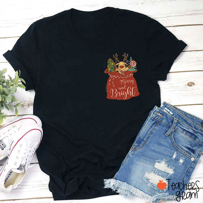 Merry And Bright Cute Reindeer Teacher T-Shirt
