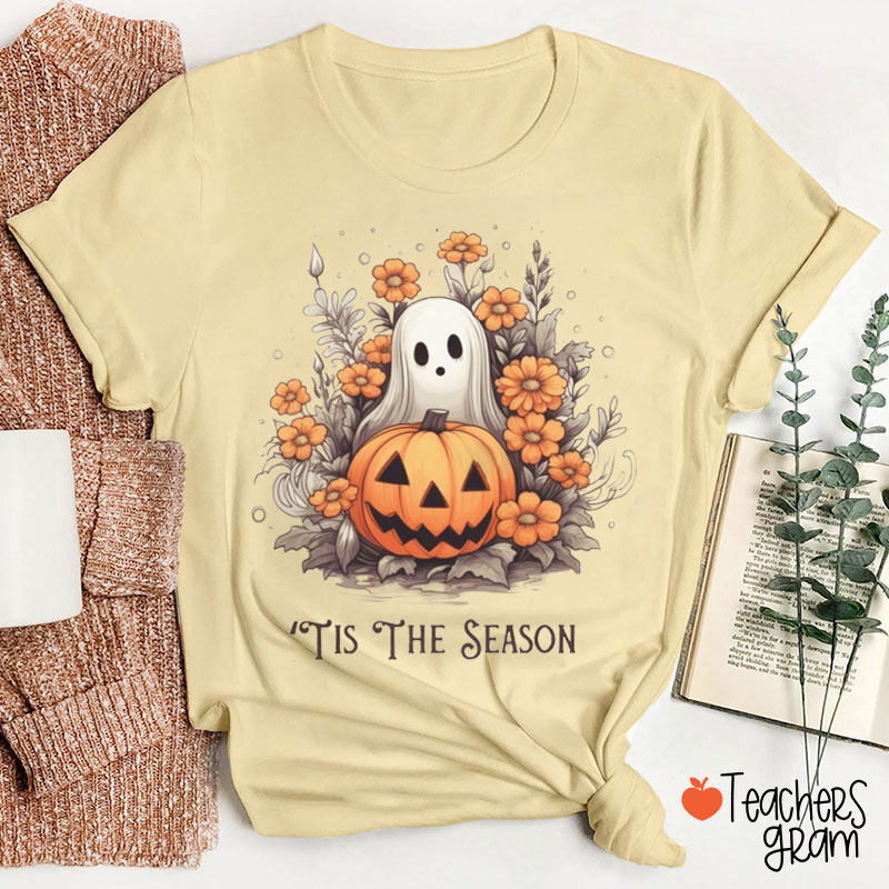 Tis the Pumpkin And Ghost Vides Teacher T-Shirt