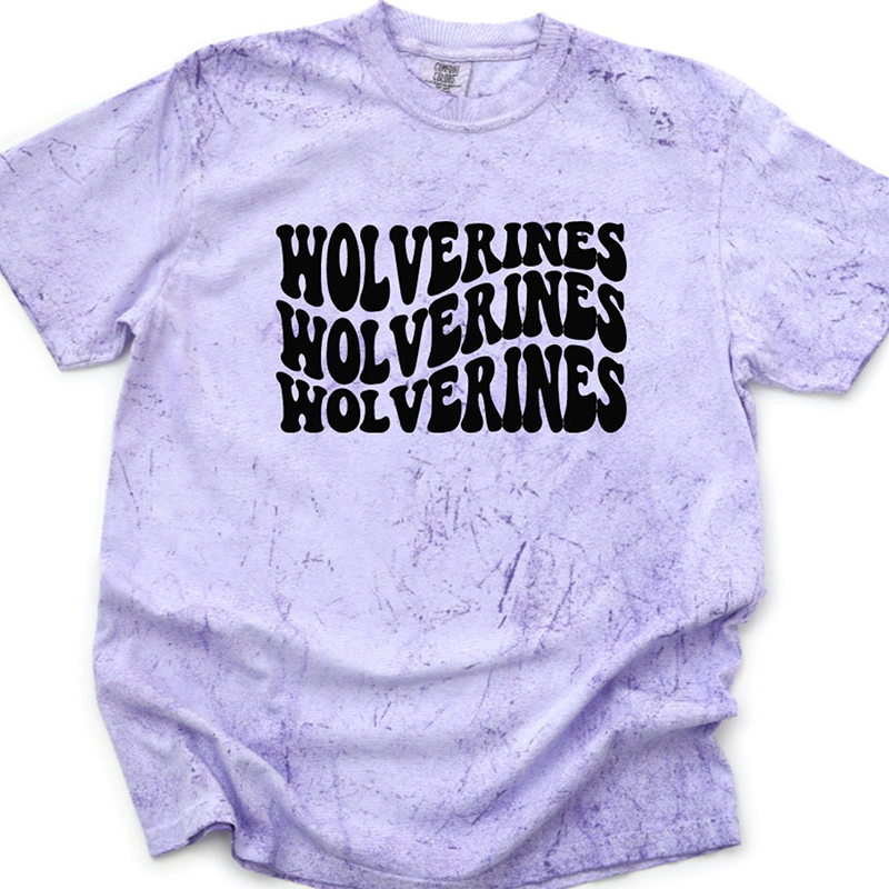 Personalized Mascot Comfort Colors Teacher Printed T-Shirt