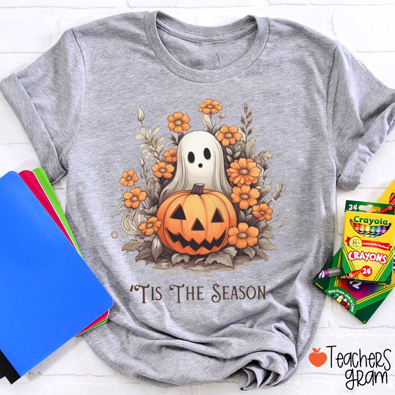 Tis the Pumpkin And Ghost Vides Teacher T-Shirt