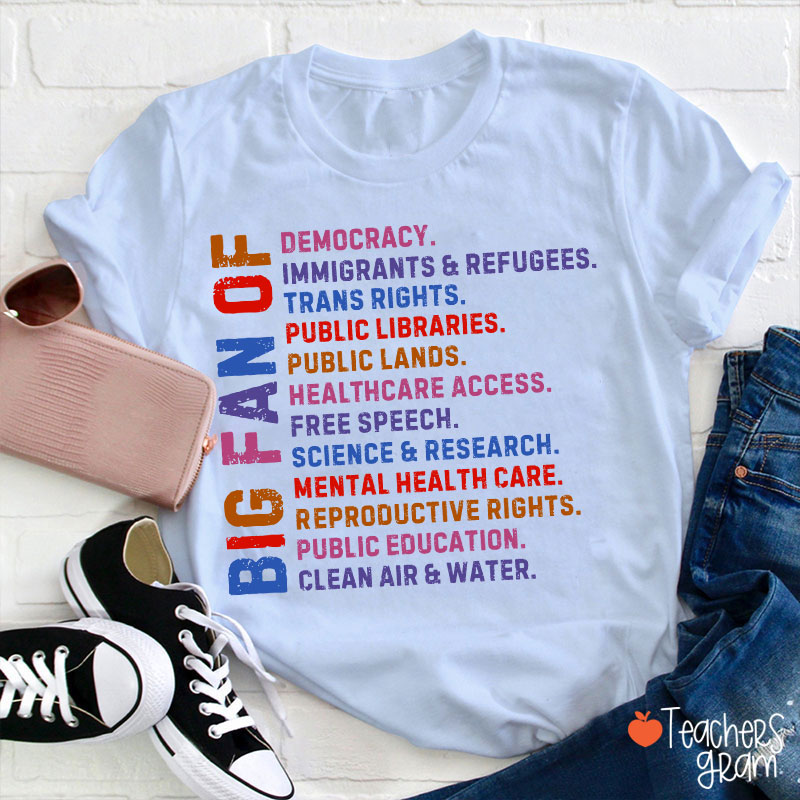 Big Fan Of Human Rights Democracy Teacher T-Shirt