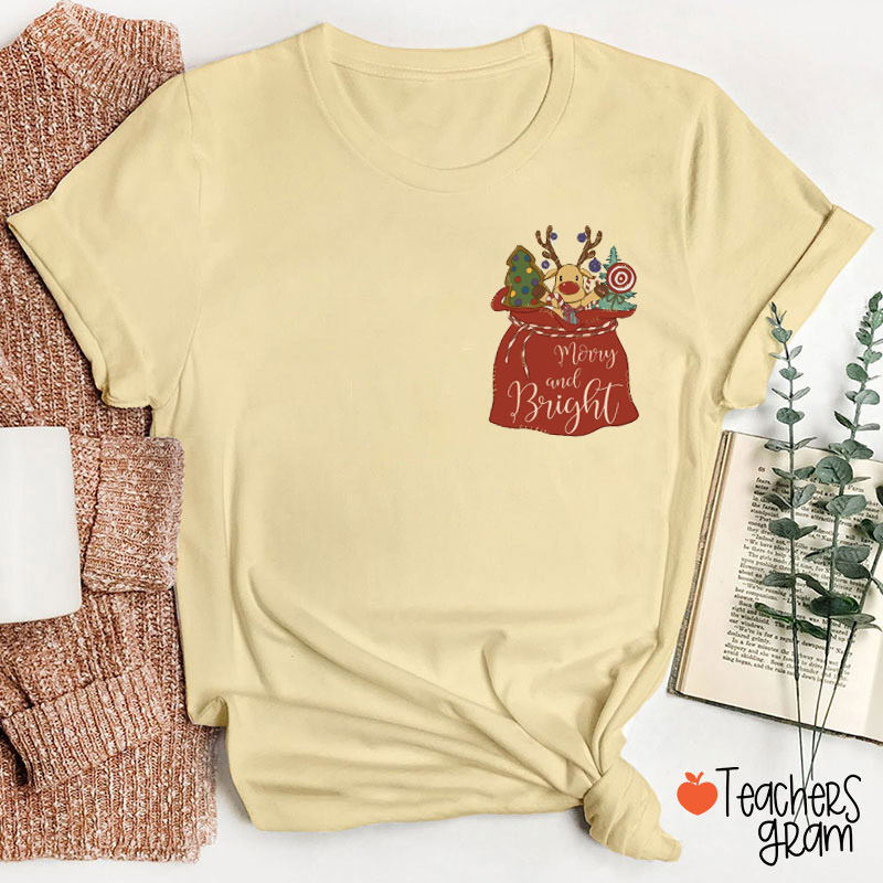 Merry And Bright Cute Reindeer Teacher T-Shirt