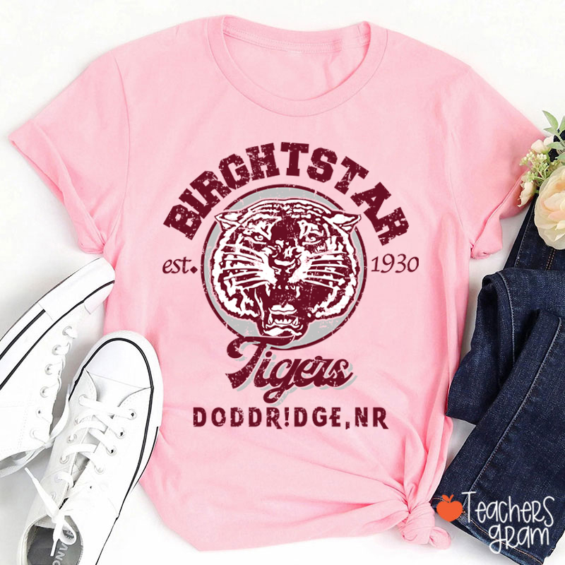 Personalized Mascot Vintage School Spirit Teacher T-Shirt