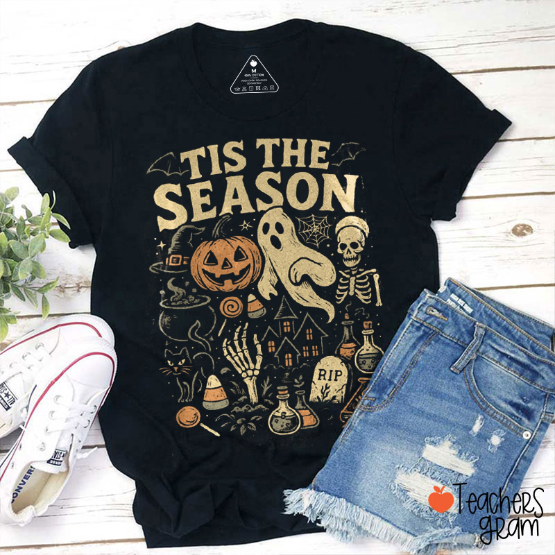 Halloween Wizard Pumpkin Goose Teacher T-Shirt