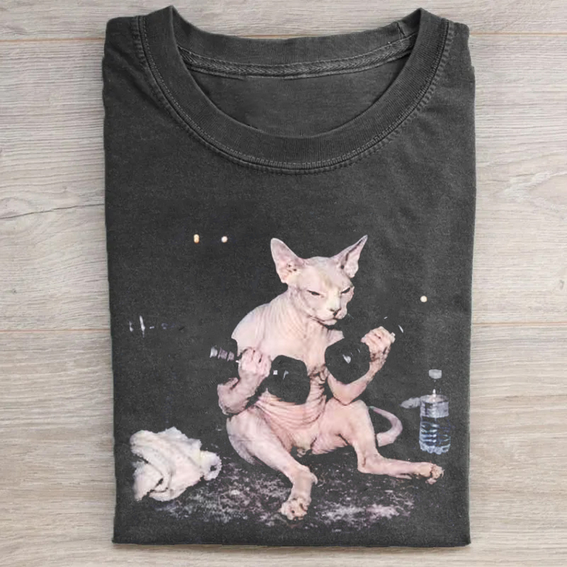 Sphynx Cat Workout Vintage Graphic T-shirt