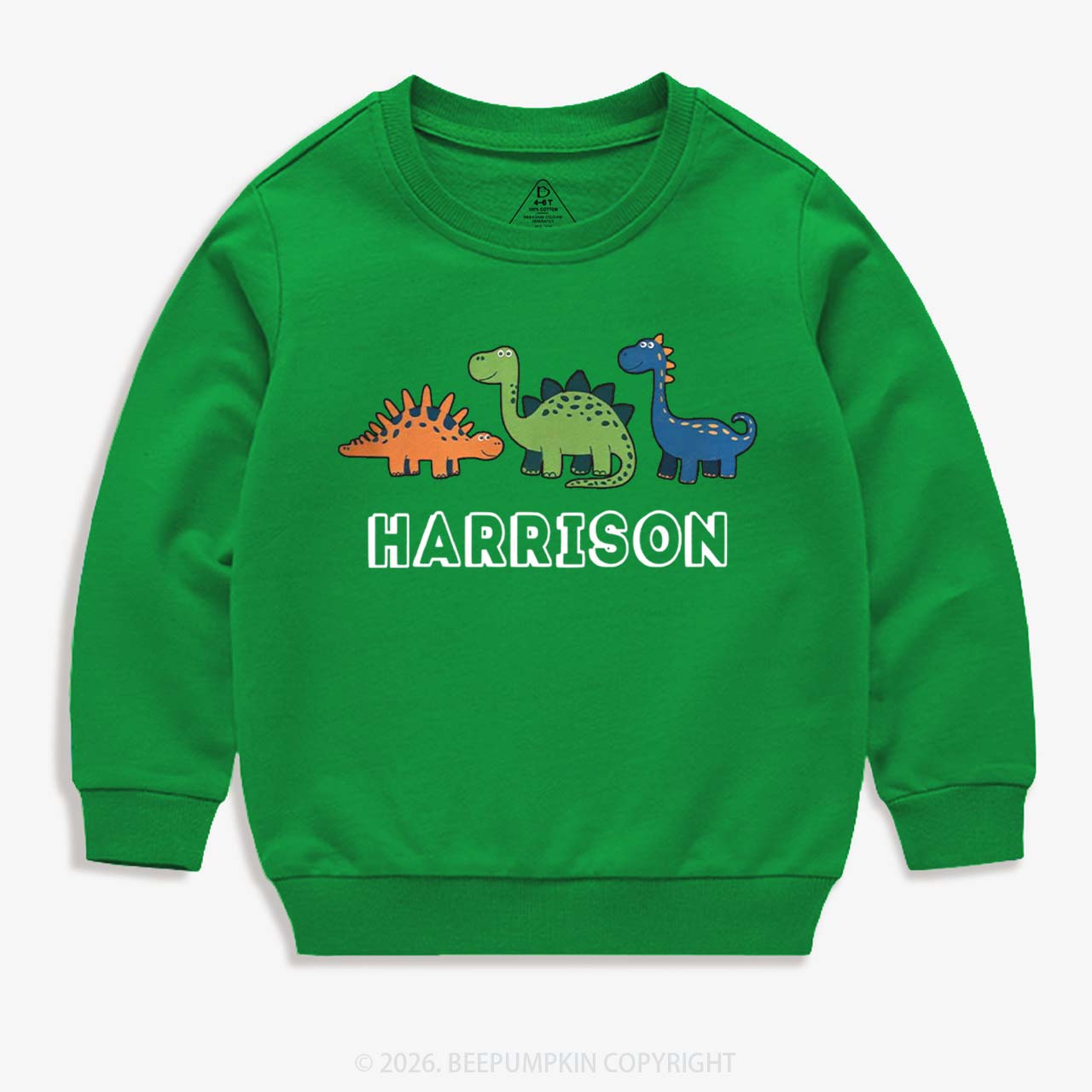 Personalized Cute Dinosaur Name Kid's Sweatshirt