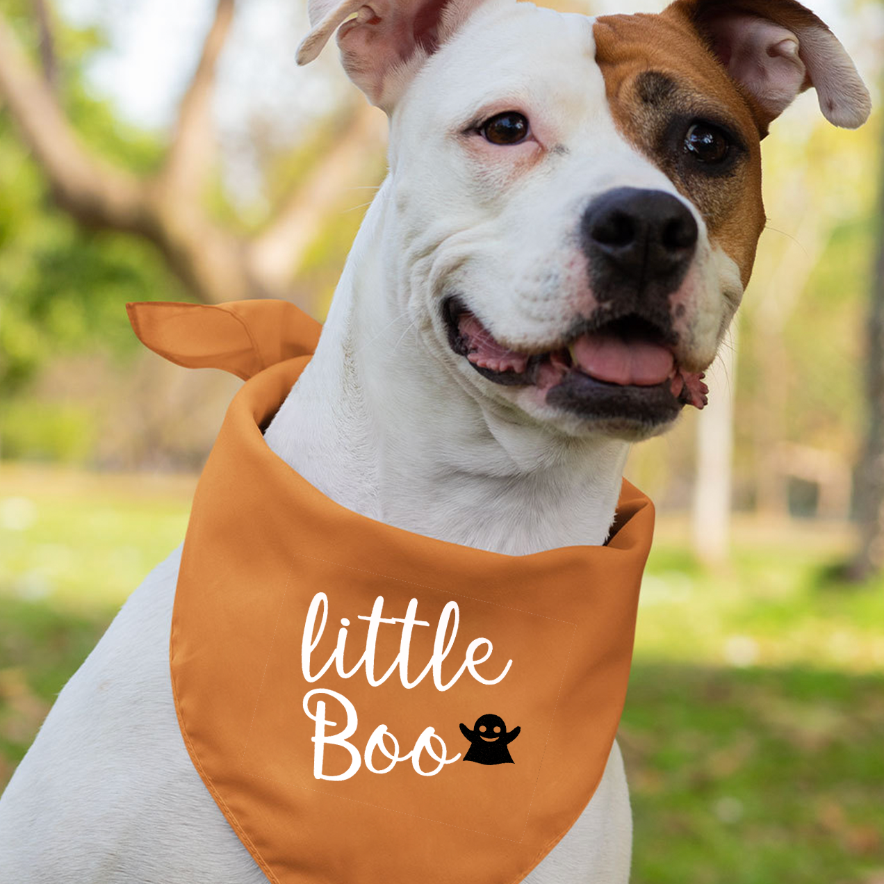 Glitter Halloween Mom&Me Matching Shirt