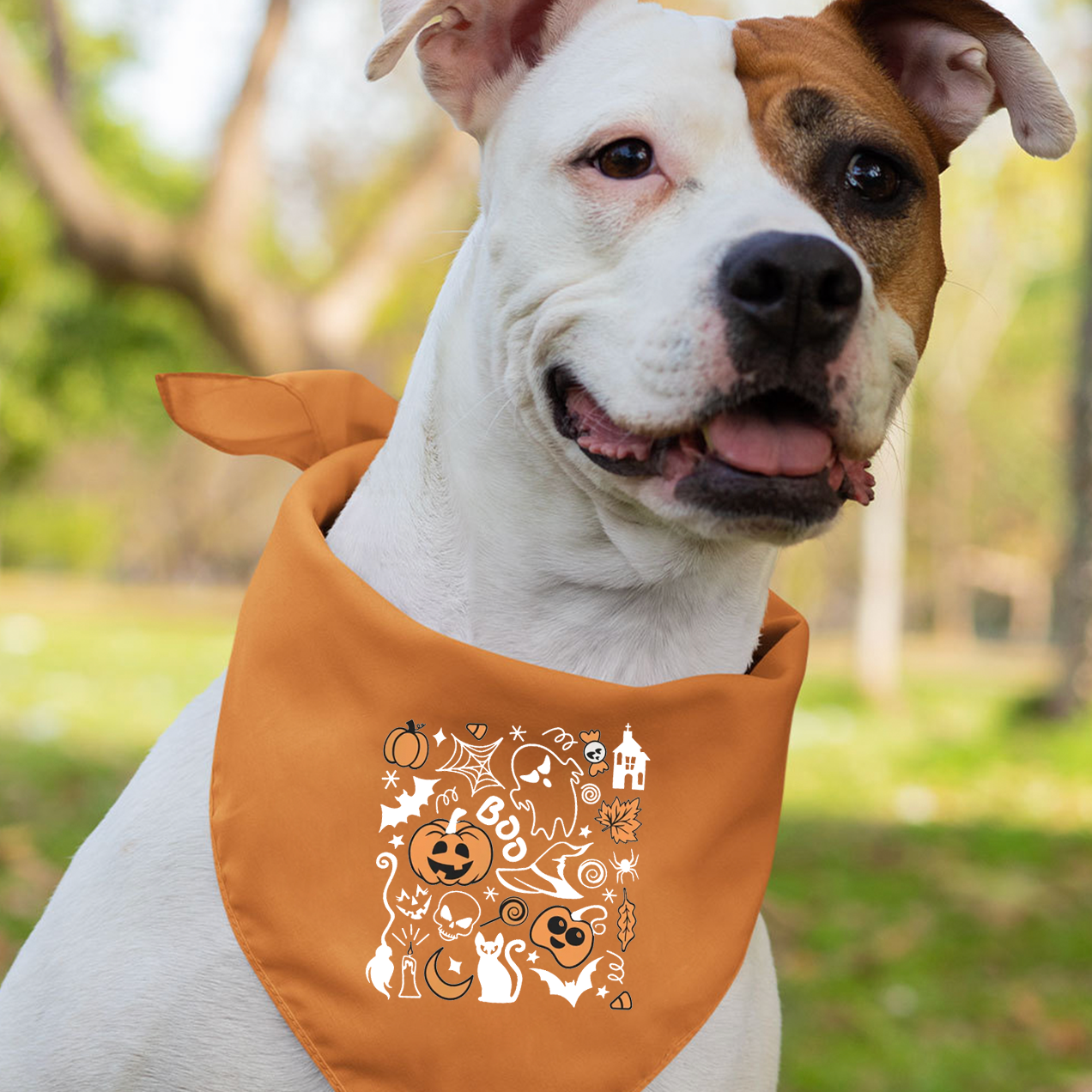 Vintage Spooky Halloween Mom&Me Matching Shirt