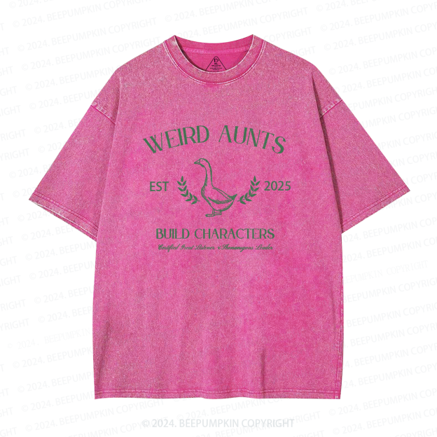 Personalized Vintage Silly Goose Weird Aunt Washed T-Shirts 