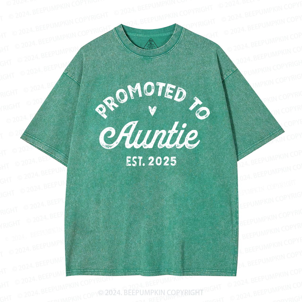 Personalized Established Promoted To Auntie Aunt Washed T-Shirts 