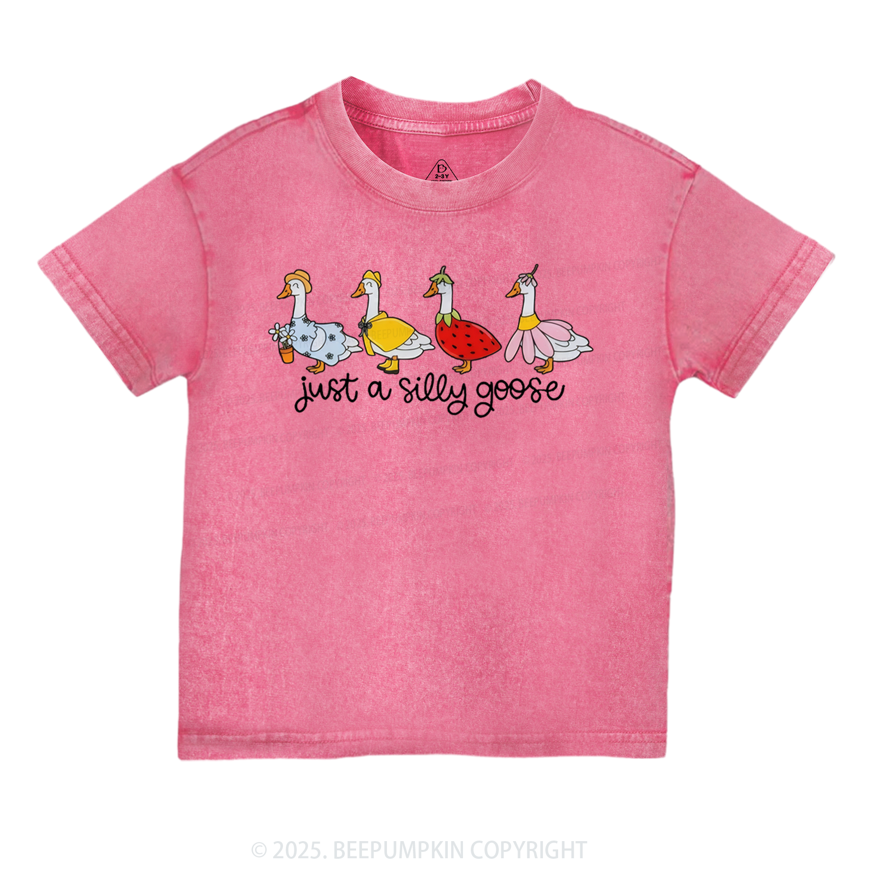 Just A Silly Goose Toddler&Kids Washed Tees 7