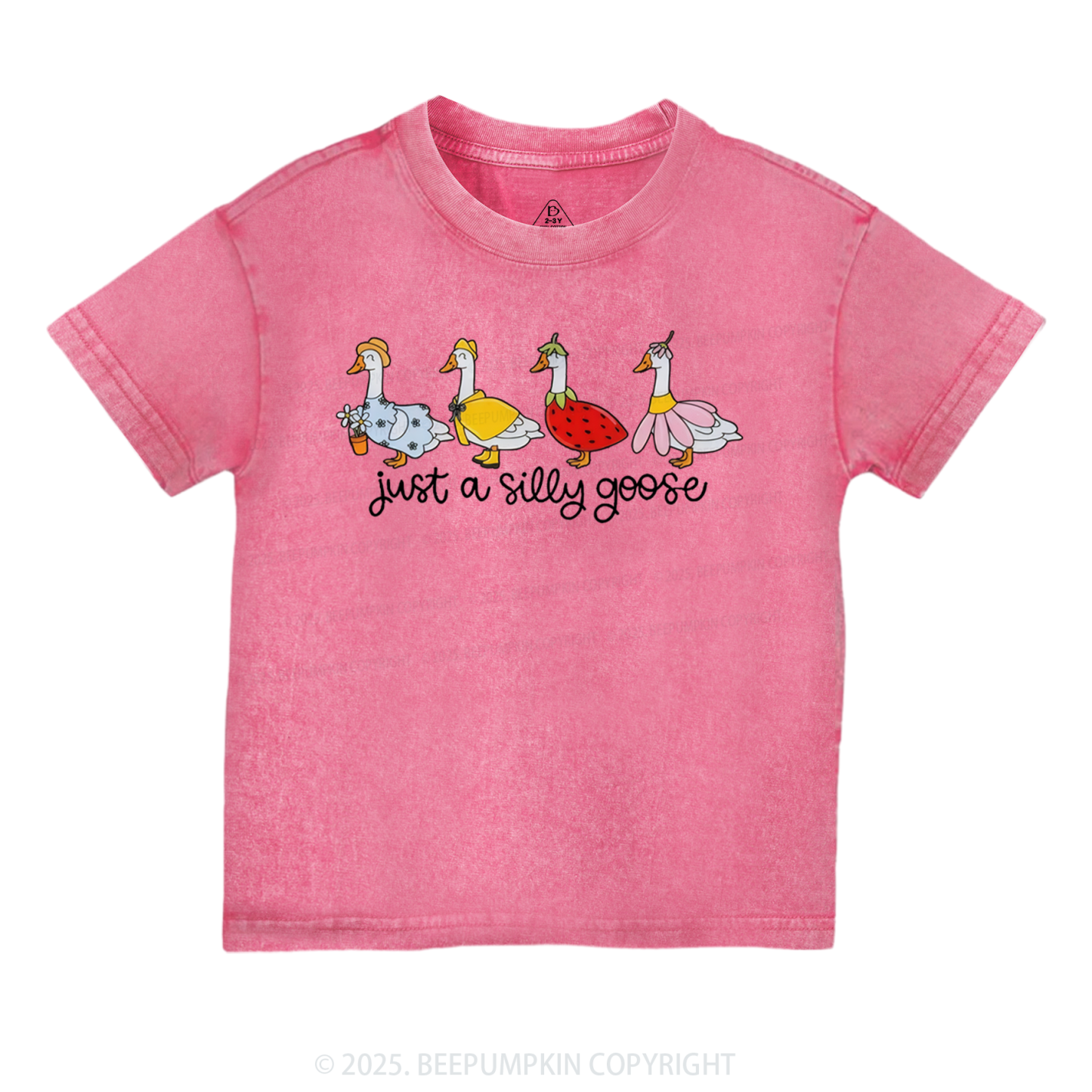 Just A Silly Goose Toddler&Kids Washed Tees 7