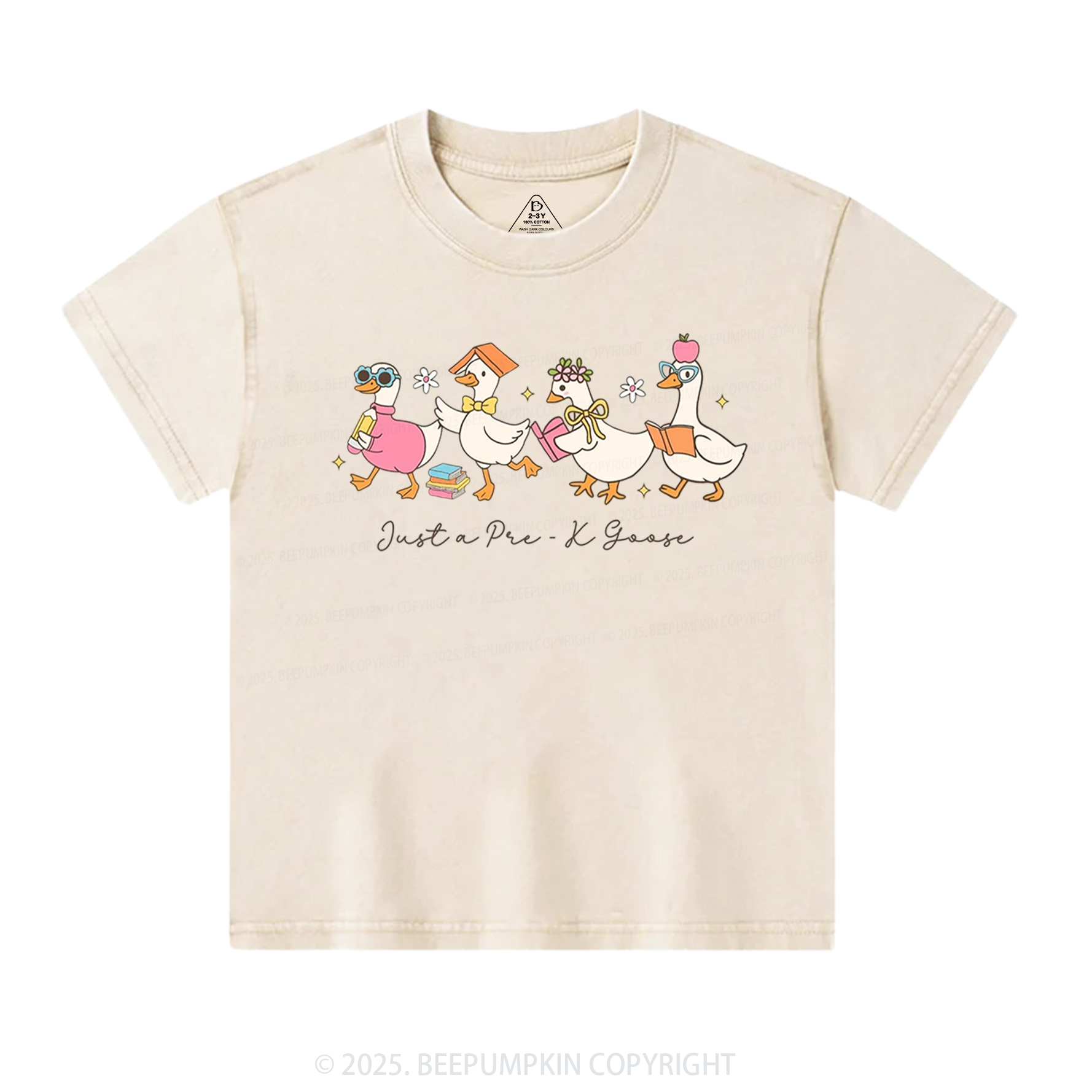 Personalized Back To School Goose Toddler&Kids Washed Tees