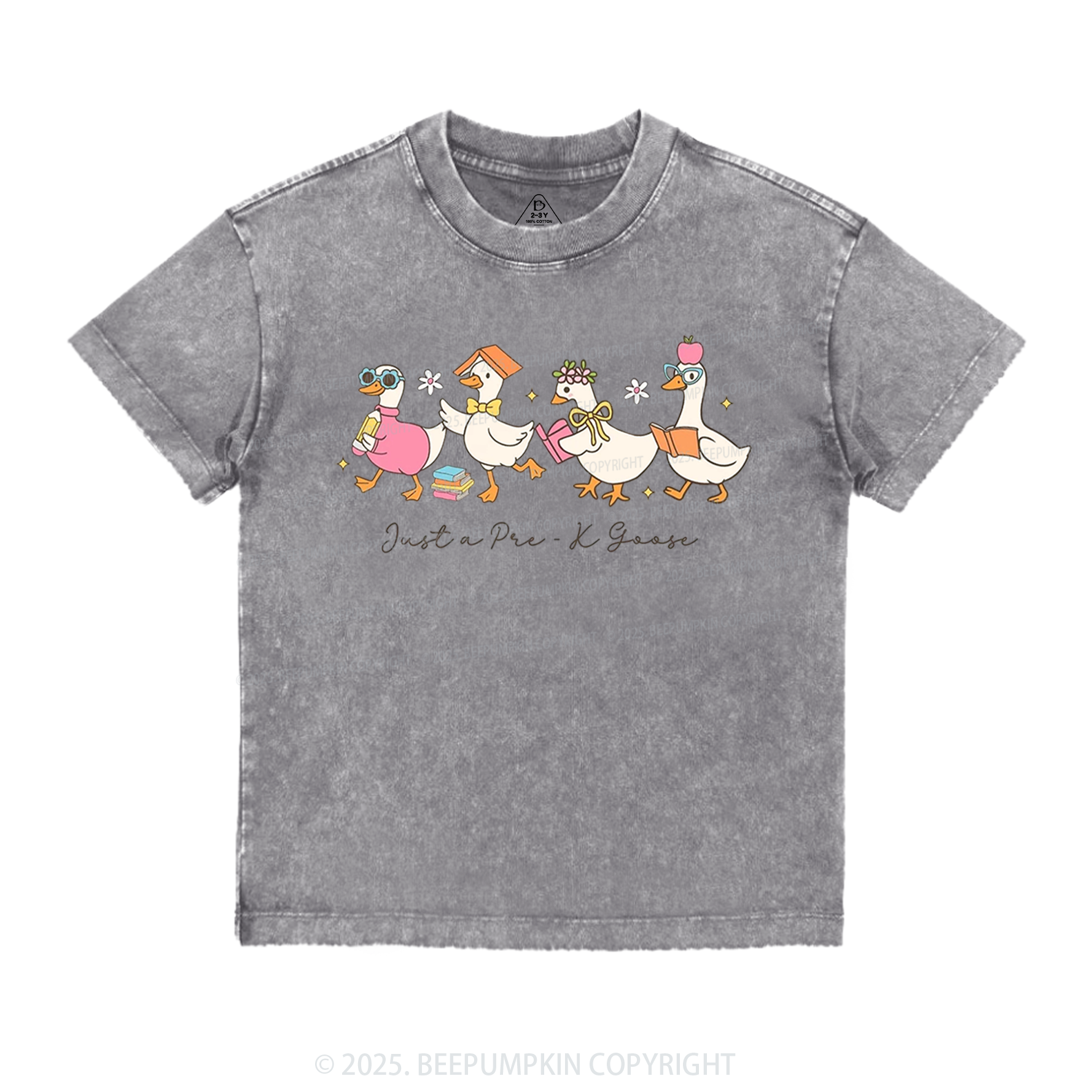 Personalized Back To School Goose Toddler&Kids Washed Tees