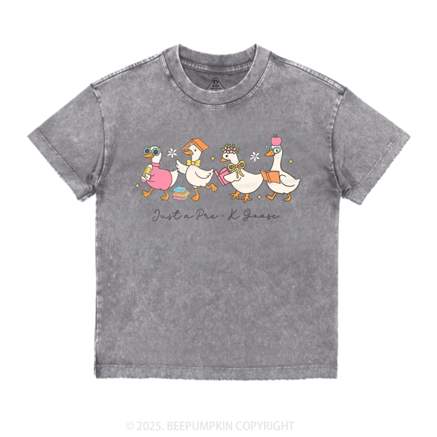 Personalized Back To School Goose Toddler&Kids Washed Tees