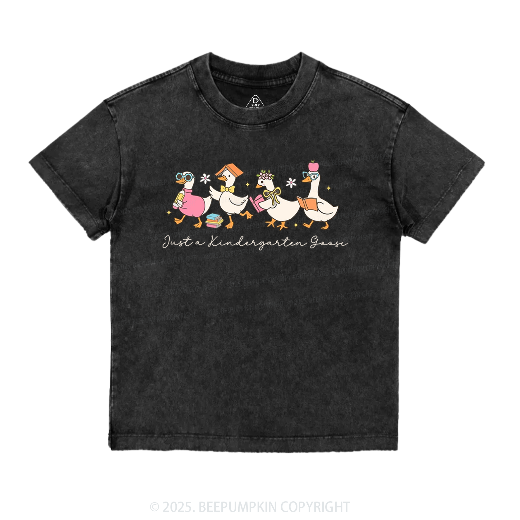 Personalized Back To School Goose Toddler&Kids Washed Tees